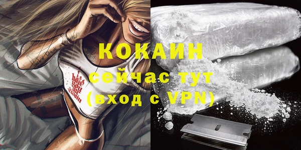 соль ск Елизово