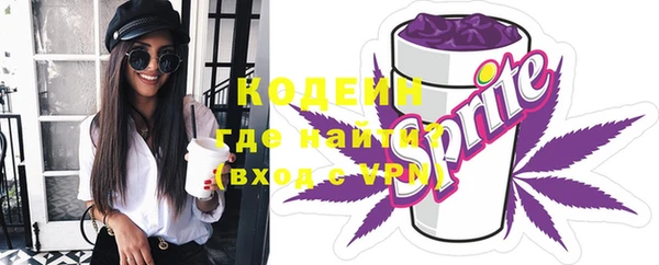 соль ск Елизово